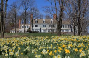 houstonlandscape-nj-home-article